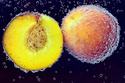 Illustration drupe - Image 2