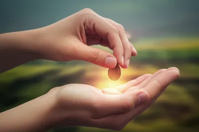 Illustration interested - Image 1