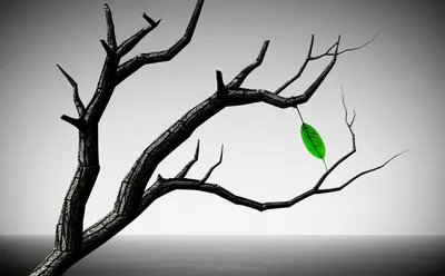 Illustration aplastic - Image 1