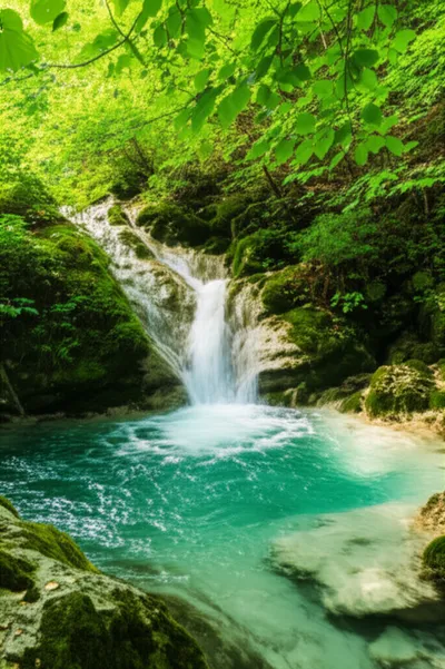 Illustration freshest - Image 1