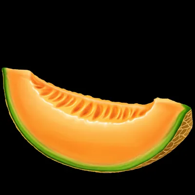 Illustration cantaloupe - Image 1