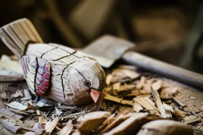 Illustration butcher - Image 1