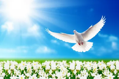 Illustration sinless - Image 1