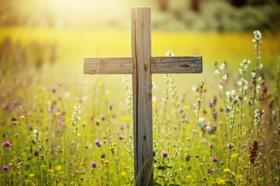 Illustration tau - Image 1