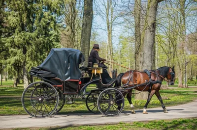 Illustration cabriolet - Image 1