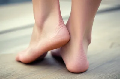 Illustration soles - Image 1