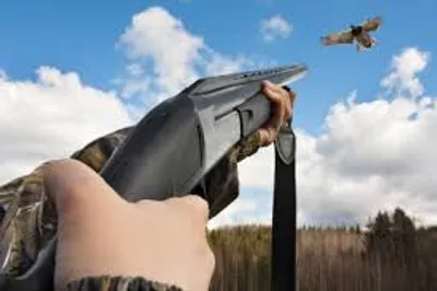 Illustration flight - Image 4