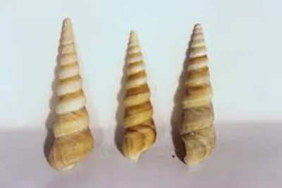 Illustration spire - Image 2