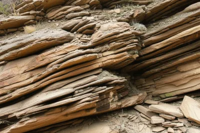 Illustration tongue - Image 1