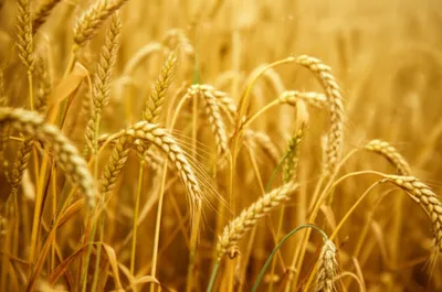 Illustration volumes - Image 1