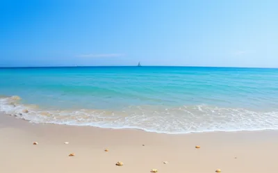 Illustration seaboard - Image 1