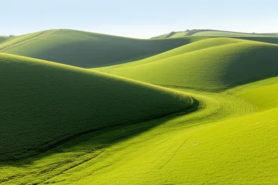 Illustration down - Image 1