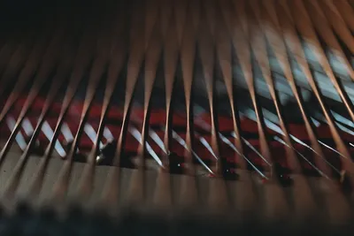 Illustration cords - Image 2