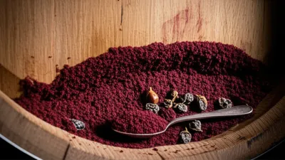 Illustration tartar - Image 1