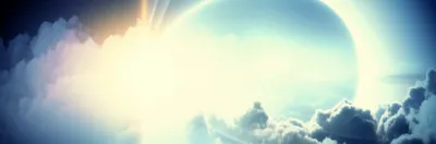 Illustration paradise