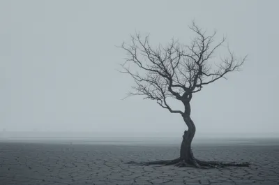 Illustration desolate - Image 1