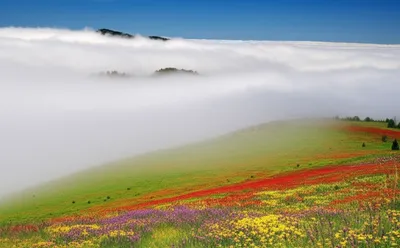 Illustration obscures - Image 1