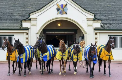 Illustration str - Image 1