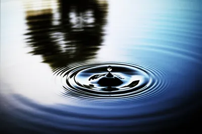 Illustration occasion - Image 1