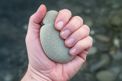 Illustration gripped