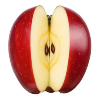 Illustration bisected - Image 1