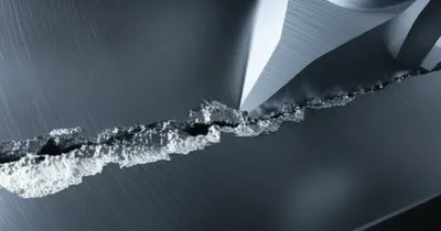 Illustration galls - Image 1