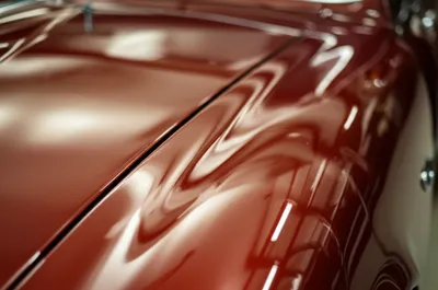 Illustration nib - Image 1