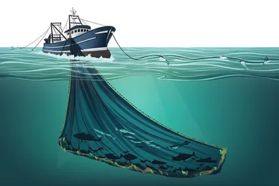 Illustration trawlers - Image 1