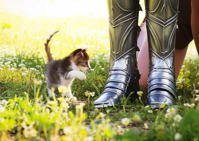 Illustration chickenshit - Image 1