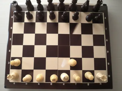 Illustration drawn - Image 1