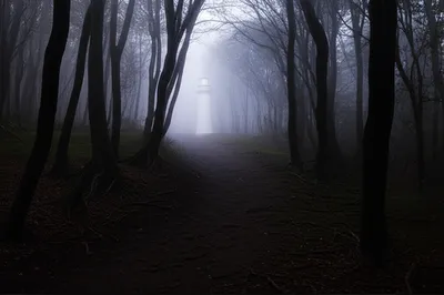 Illustration foreshadow