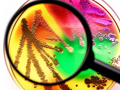 Illustration testing - Image 1