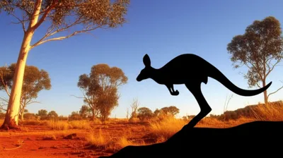 Illustration kangaroo - Image 1