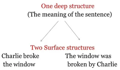 Illustration transformation - Image 2