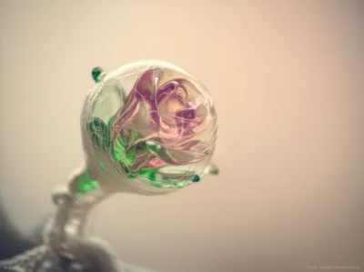 Illustration wrapped - Image 1