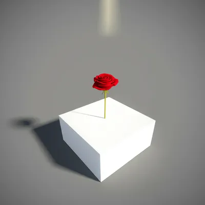 Illustration freestanding