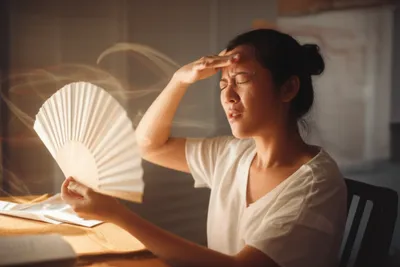 Illustration fans - Image 1