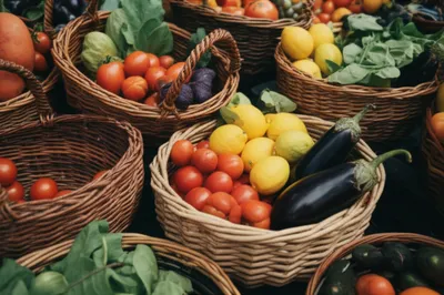 Illustration baskets - Image 1