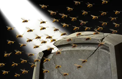 Illustration polemics - Image 1