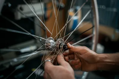 Illustration lacing - Image 1