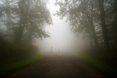 Illustration uncertain