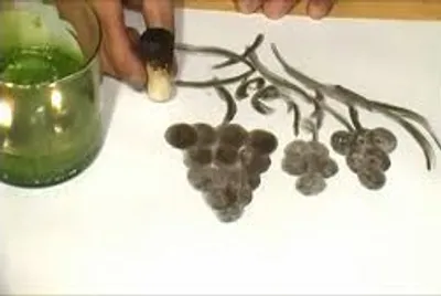 Illustration cork - Image 2