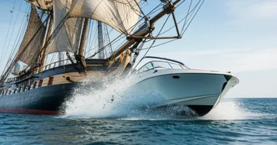 Illustration stems - Image 1