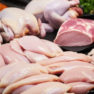 Illustration breasts - Image 1