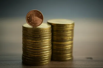 Illustration fens - Image 1