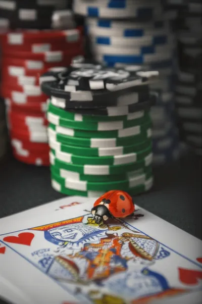 Illustration bug - Image 1