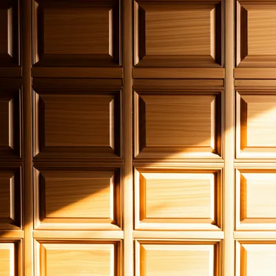 Illustration paneled - Image 1