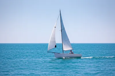 Illustration scouts - Image 2