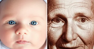 Illustration inborn - Image 1