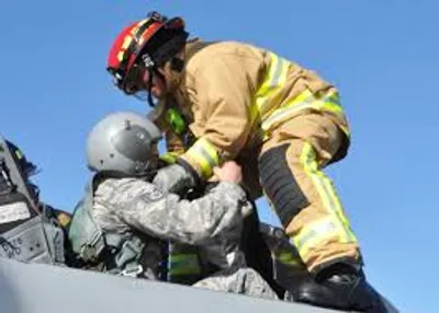 Illustration extricate - Image 2